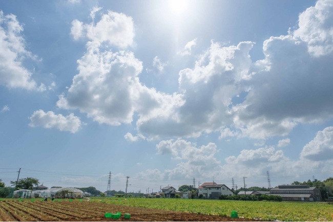 全国トップクラスの日照時間を誇る浜松市