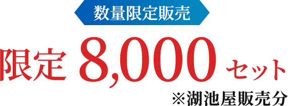 数量限定販売 限定 8,000 セット ※湖池屋販売分