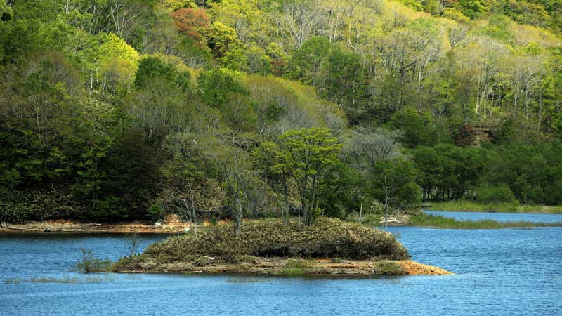 今金町に流れる日本有数の清流 後志利別川