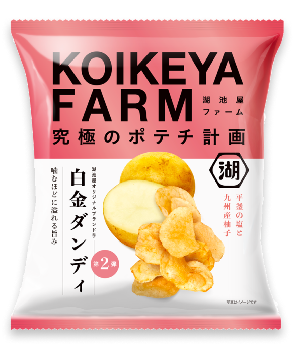 KOIKEYA FARM 白金ダンディ