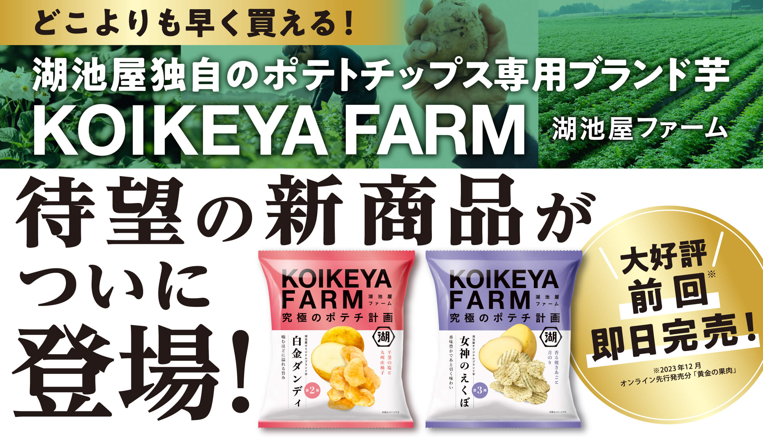 待望の新商品がついに登場！ どこよりも早く買える！湖池屋独自のポテトチップス専用ブランド芋 KOIKEYA FARM 湖池屋ファーム 大好評　前回　即日完売！