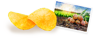 北海道産玉ねぎの甘味が特徴のコンソメ味のポテトチップス