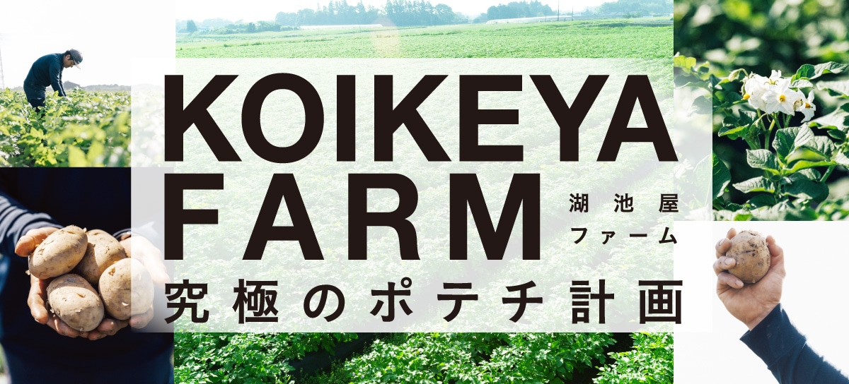 KOIKEYA FARM（湖池屋ファーム）黄金の果肉