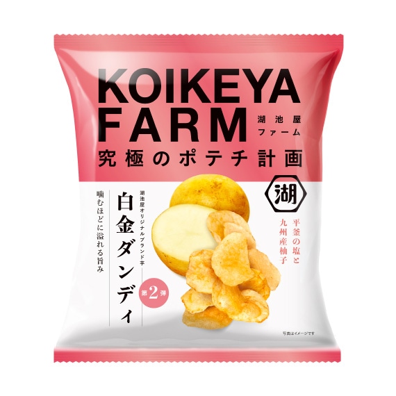 【もったいないセール】KOIKEYA FARM 白金ダンディ 平釜の塩と九州産柚子（6入）