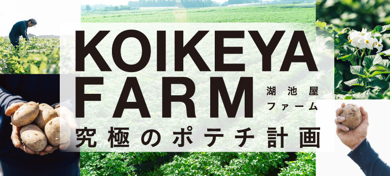 KOIKEYA FARM