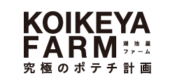 KOIKEYA FARM