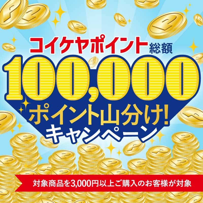 抽選で100名様に当たる！10万ポイント山分けキャンペーン！