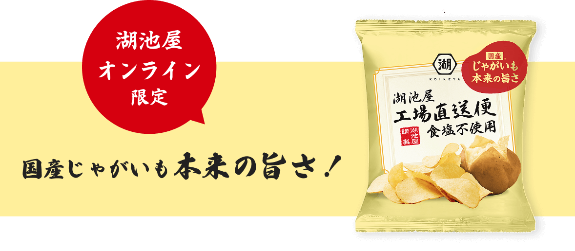 湖池屋工場直送便 食塩不使用