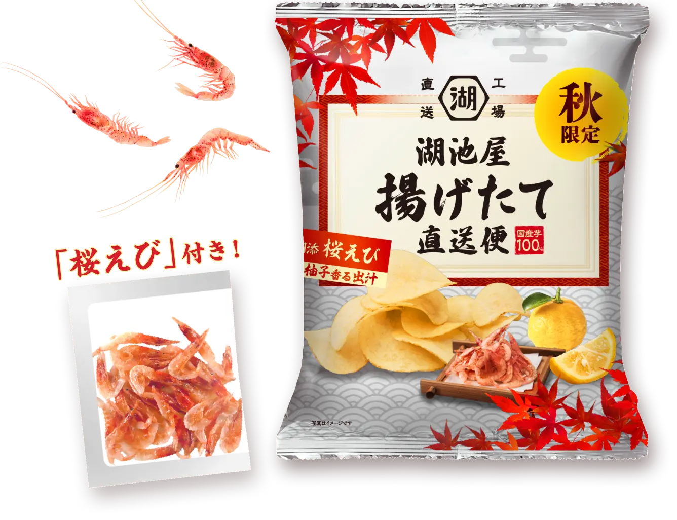 湖池屋 秋の揚げたて直送便 柚子香る出汁 「桜えび」付き!
