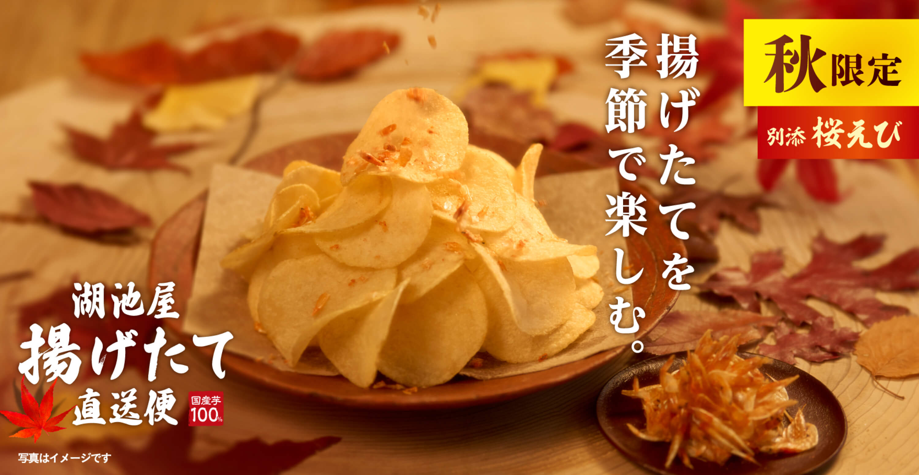 秋限定 湖池屋 秋の揚げたて直送便(工場直送便)ポテトチップス 柚子香る出汁
