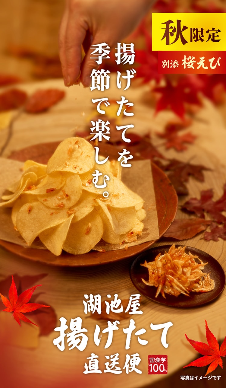 秋限定 湖池屋 秋の揚げたて直送便（工場直送便）ポテトチップス 柚子香る出汁