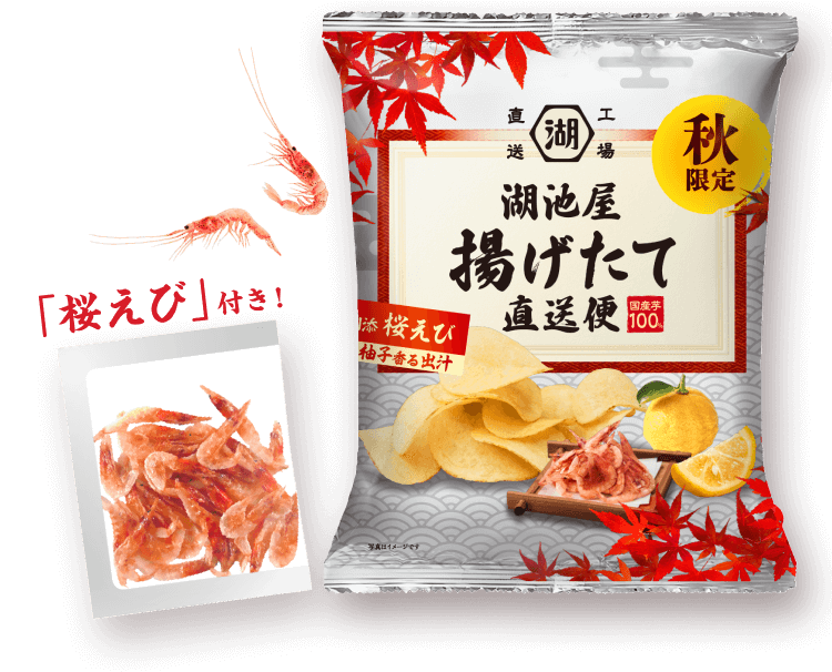 湖池屋 秋の揚げたて直送便 柚子香る出汁 「桜えび」付き!