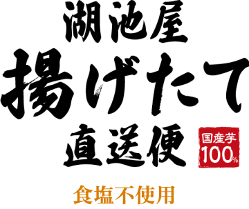 湖池屋 揚げたて直送便（工場直送便） 食塩不使用 国産芋100%使用のポテトチップス