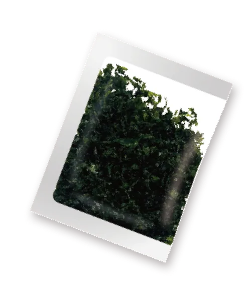 伊勢湾産海苔を使用したばら海苔トッピング付き