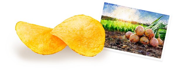 北海道産玉ねぎの甘味が特徴のコンソメ味のポテトチップス