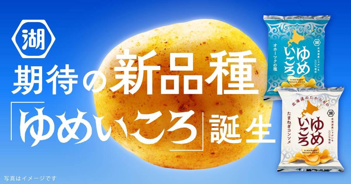 ゆめいころ ポテトチップス